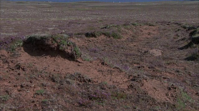 宽阔的向上平移拍摄沙地和湖与山在地平线视频素材