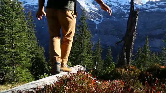 人沿着原木走到山景视频素材