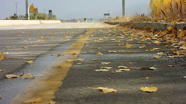 秋天和道路视频下载