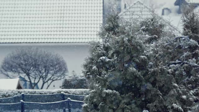 窗外飘落的雪花视频素材