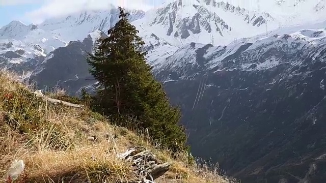 男性徒步者沿着小路穿过山坡，雪山视频素材