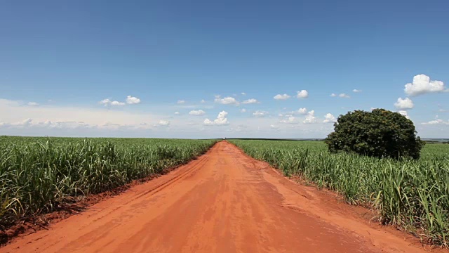 甘蔗种植园的土路视频素材