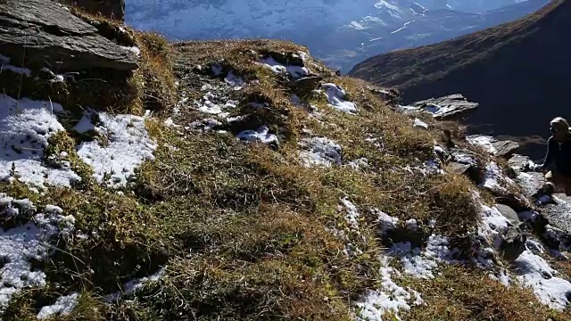 男性徒步旅行者攀登草地和雪山之上的山脊视频素材