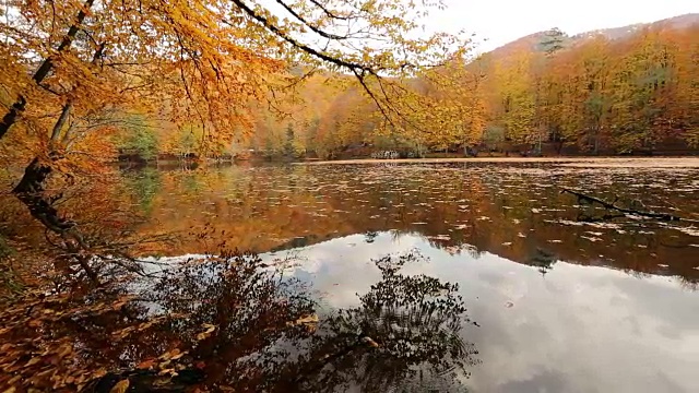 秋天的风景视频素材