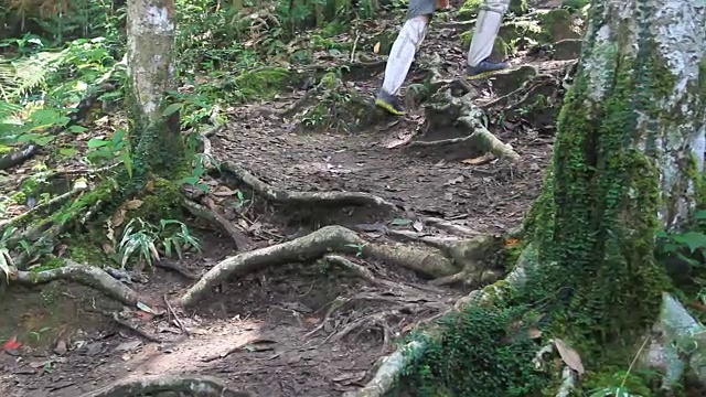 野营友谊徒步背包客和露营森林冒险旅行偏远放松概念视频素材