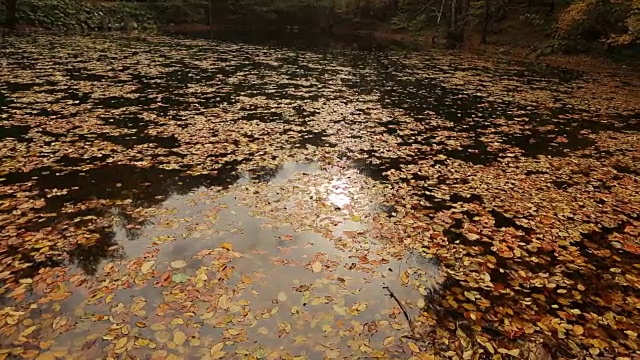 秋天和湖景视频素材