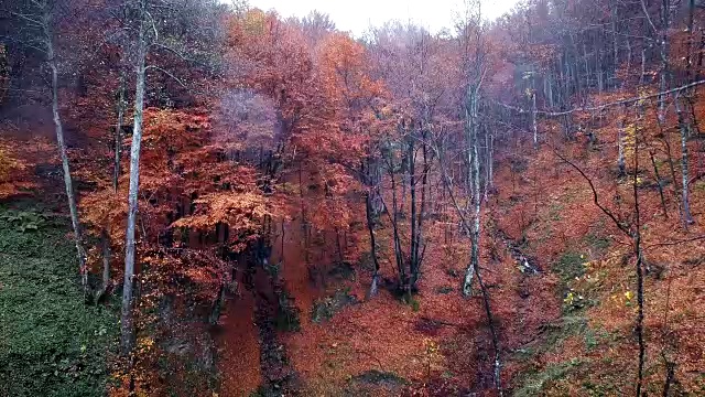 山溪鸟瞰图视频素材