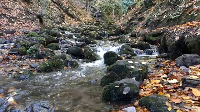 一个在秋色背景下过江的人视频下载