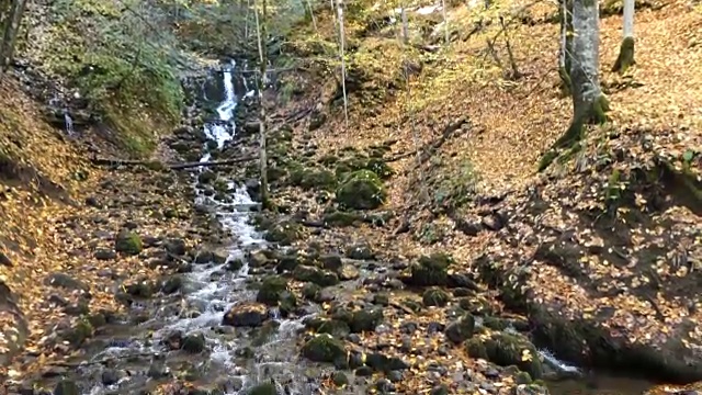 美丽的河流和瀑布与秋天的景色在背景视频下载