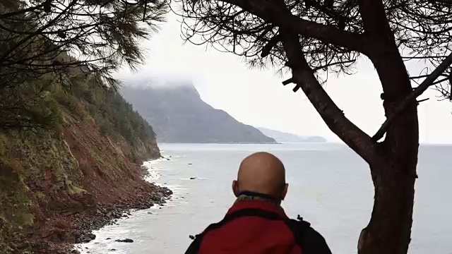 人们在树林里看着岩石海滩视频下载