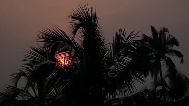 手掌和日落视频素材