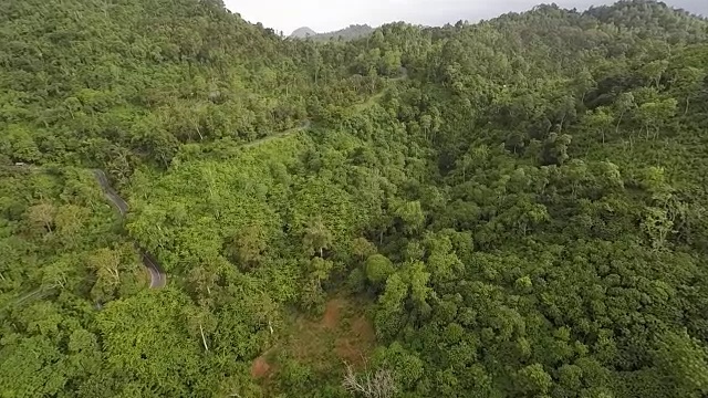 横跨苏门答腊高速公路和热带雨林，鸟瞰图视频素材