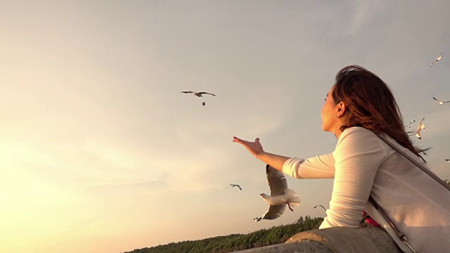 一名年轻女子在泰国热带海滩上喂海鸥视频素材