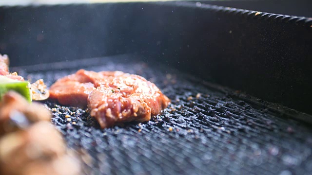 烧烤配美味的烤肉。烧烤聚会。视频素材