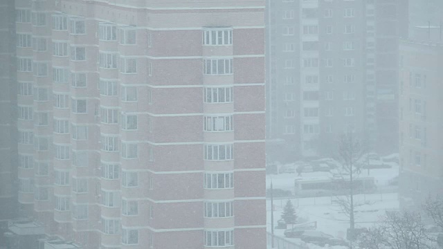 大片的雪花。视频下载