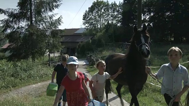 年轻妇女和孩子们牵着一匹棕色的马穿过农场视频素材