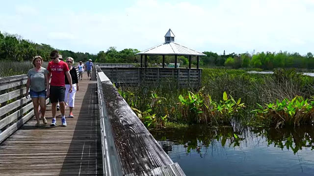 格林沙洲湿地视频素材