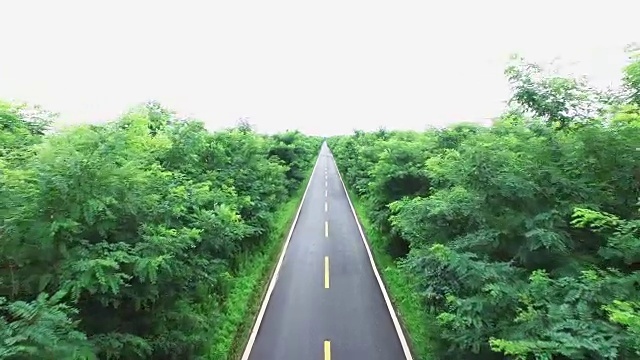 乡村道路上的俯视图无人机视频素材