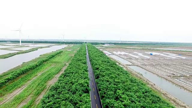 乡村道路上的俯视图无人机视频素材