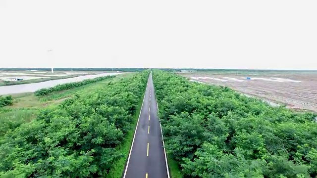 乡村道路上的俯视图无人机视频素材