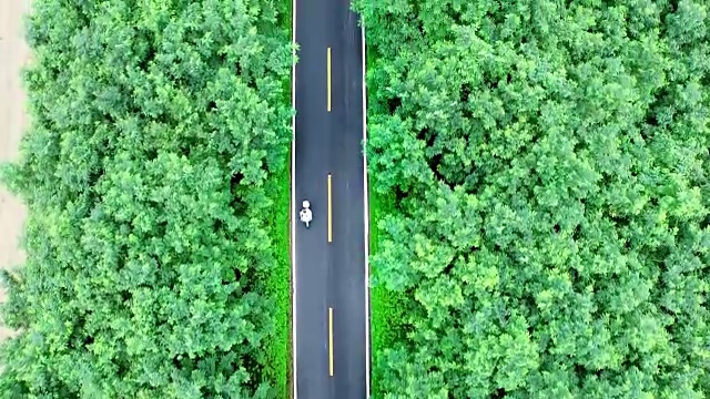 乡村道路上的俯视图无人机视频素材