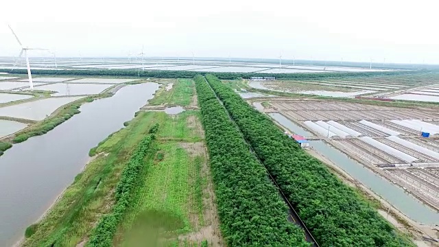 场与风力发电站在俯视图视频素材