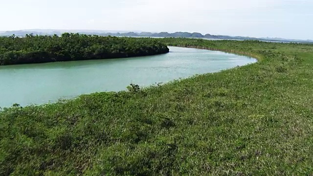 伯利兹:南泻湖和加勒比海之间的河流视频素材