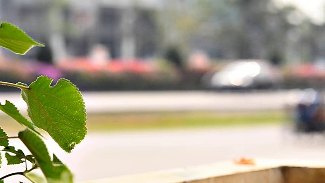 道路上交通不集中视频下载