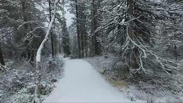 走在雪道上视频素材