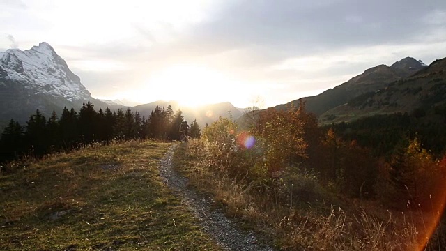 山地自行车手攀登穿过山地草地的小路视频素材