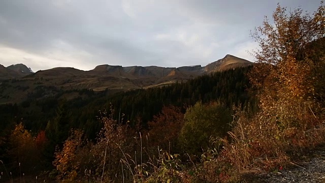 骑山地车的人沿着小路穿过山地草地视频素材