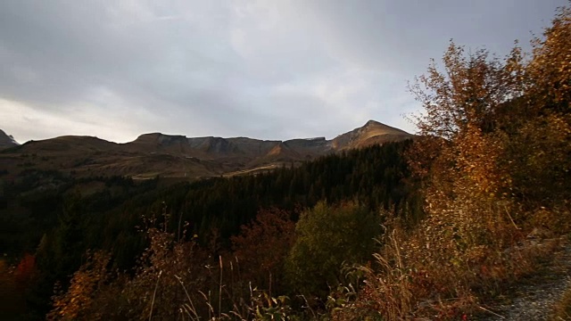 骑山地车的人沿着小路穿过山地草地视频素材