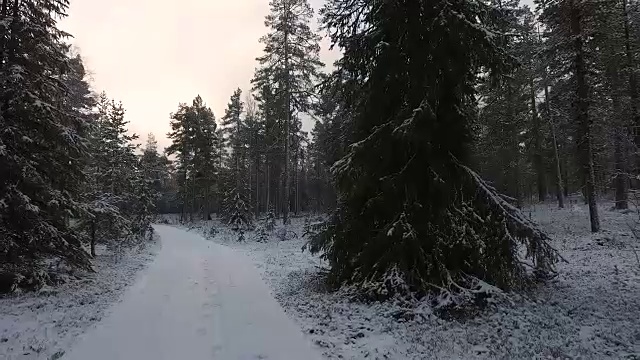 走在雪道上视频素材