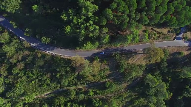 森林与道路的头顶镜头视频素材