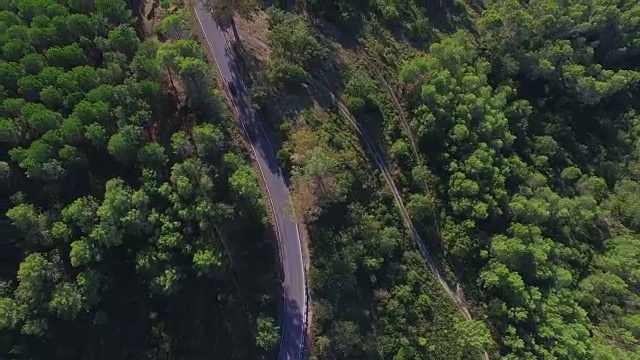 森林与道路的头顶镜头视频素材