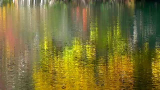 秋天的湖面。视频素材