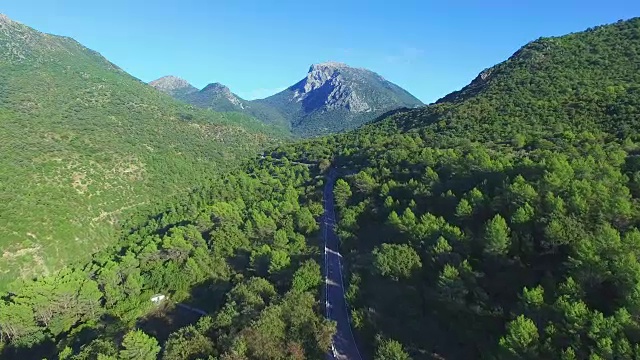 森林鸟瞰图与道路视频素材