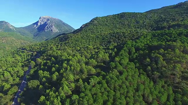 森林鸟瞰图与道路视频素材