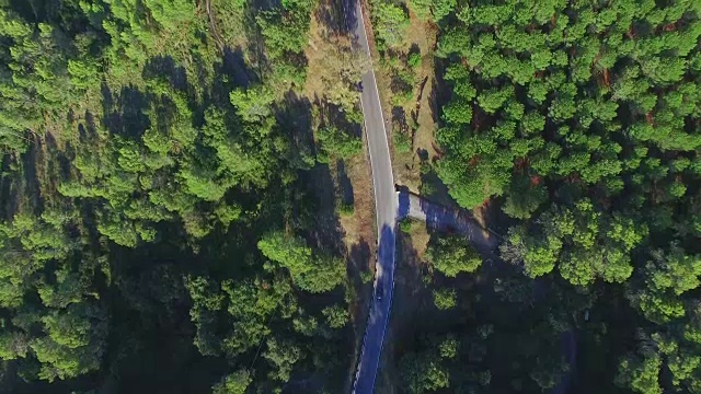 森林与道路的头顶镜头视频素材