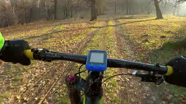 POV在阳光明媚的秋日里骑自行车。视频素材