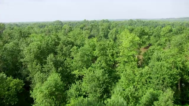 WS AERIAL POV视图沃巴什河与树木区域/维戈县，Terre Haute，美国印第安纳州视频素材