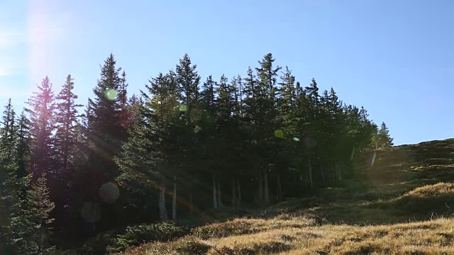 女性徒步旅行者攀登山地草地，森林视频素材