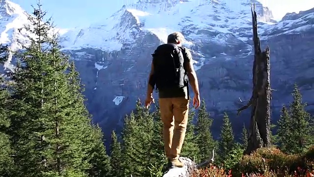 一名男性徒步旅行者沿着原木穿过山地草地视频素材