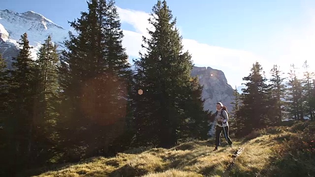 女性徒步旅行者穿过山地草地，森林视频素材