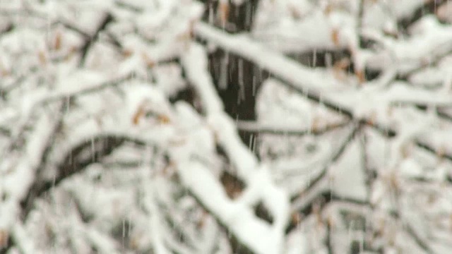 降雪视频素材