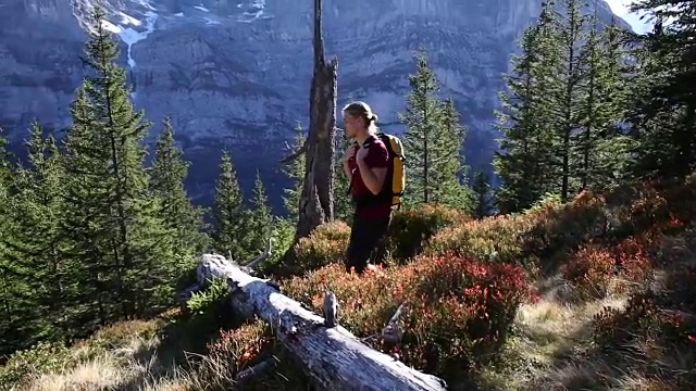 男性徒步旅行者穿过山地草地和森林视频素材