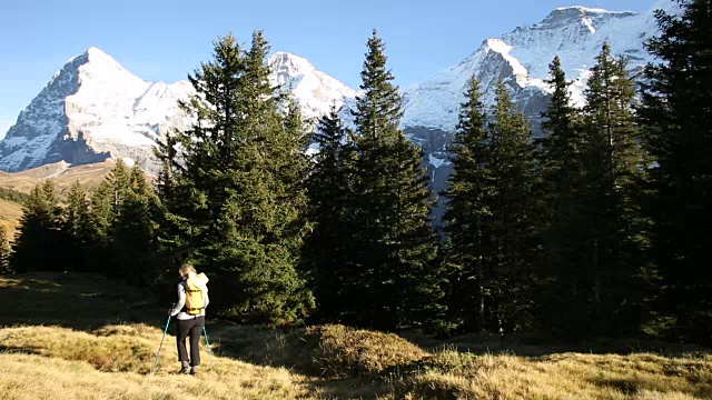 女性徒步旅行者穿过山地草地，森林视频素材