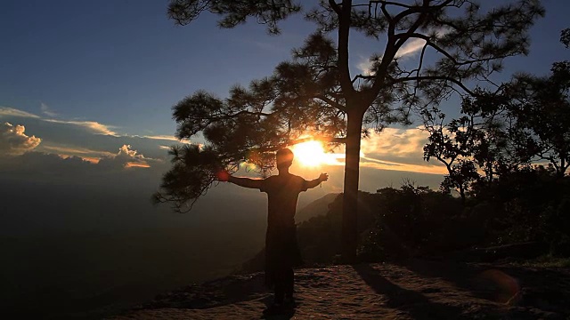 夕阳下的人影。自由的概念。与雾视频素材