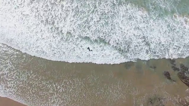 两个人在海上冲浪的无人机视图/开普敦，西开普敦，南非视频素材