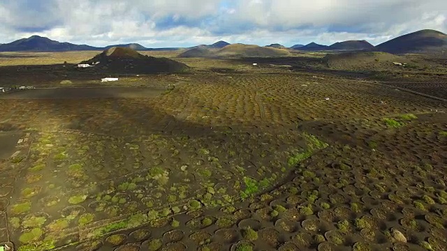 无人机在兰萨罗特火山岛上空拍摄的航拍镜头，令人惊叹的火山景观和黑色土地上葡萄园的漂亮图案洞。4 k UHD。视频素材